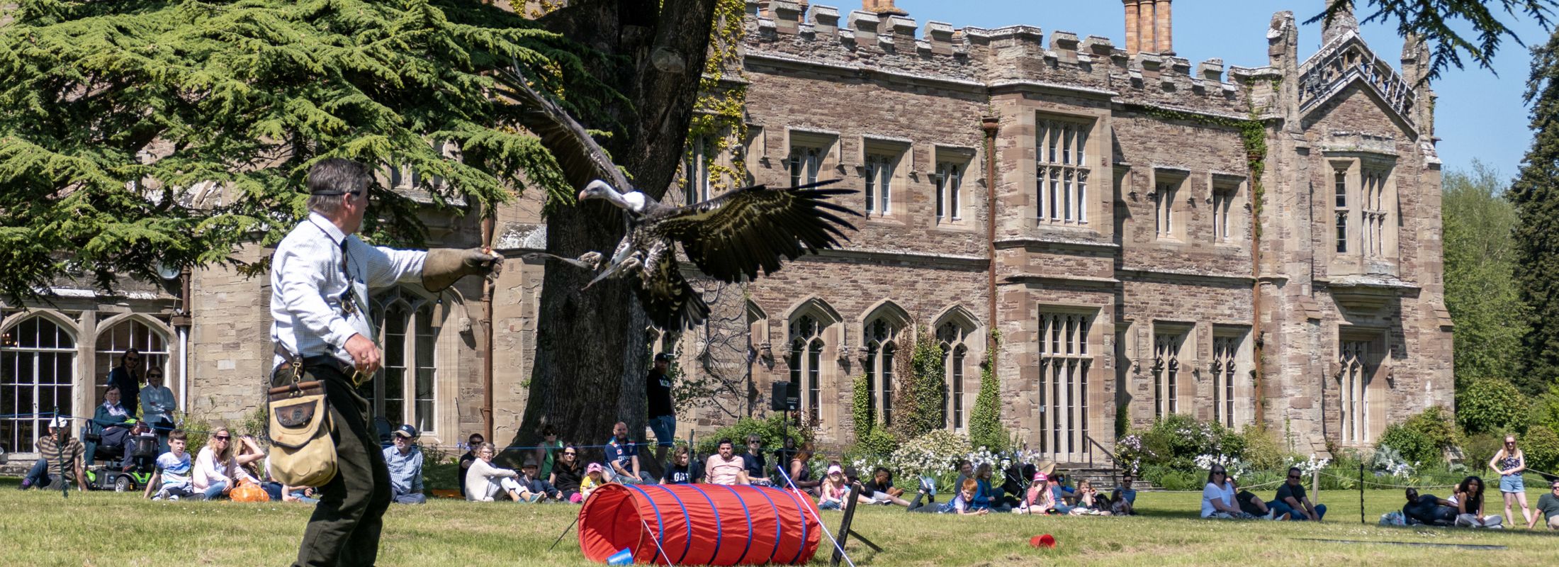 A bird of prey landing on the outstretched arm of a man. Behind them a crowd watches, seated on the grass in front of a castle