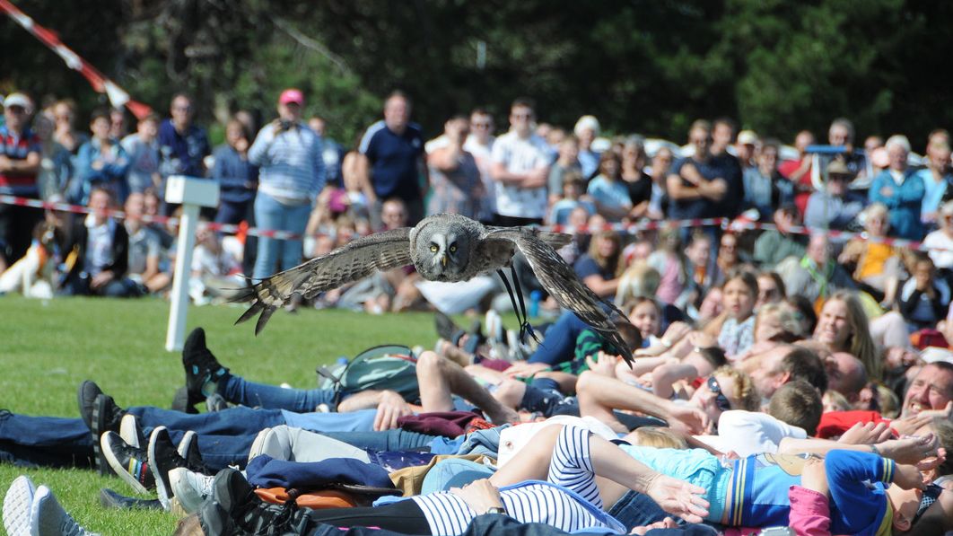 May bank holiday day out in Herefordshire at Hampton Court Castle